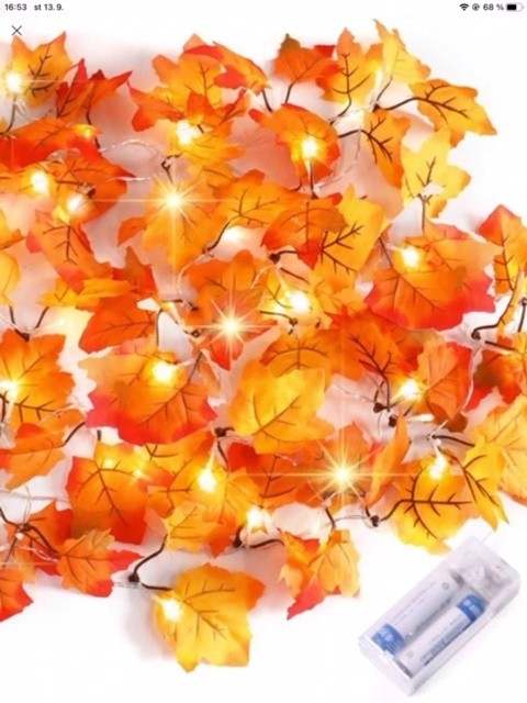 LED osvětlení javorové listy 2m, 20 svět | Nezařazené